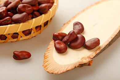 《MLB职业棒球大联盟25》自2021年来首次不登陆XGP